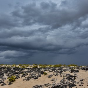 Fuerteventura