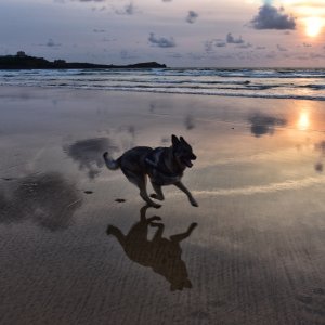 Newquay