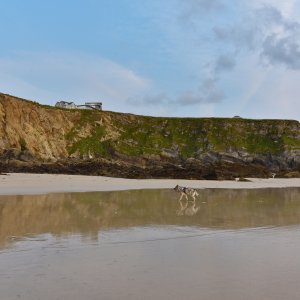 Newquay