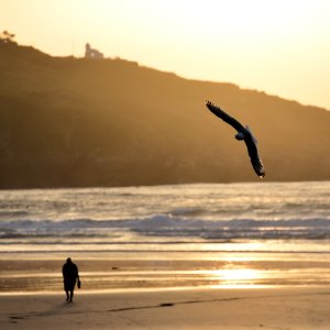 Newquay