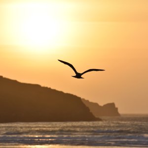 Newquay