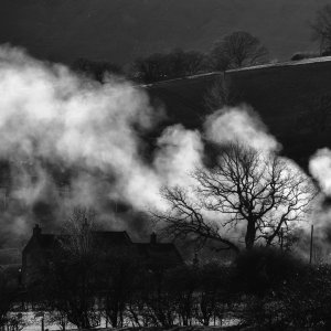 North Yorkshire