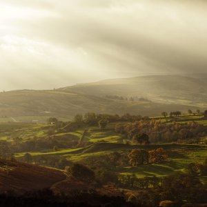 North Yorkshire