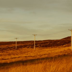 North Yorkshire