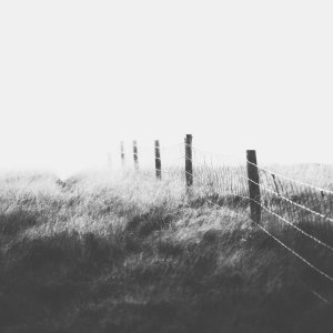 North Yorkshire
