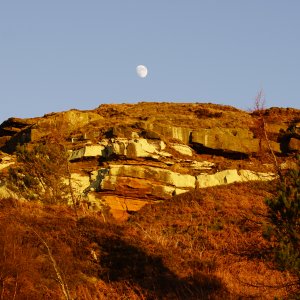 North Yorkshire