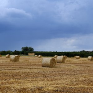 North Yorkshire