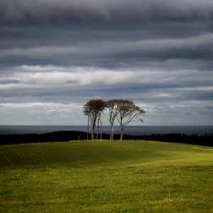 North Yorkshire