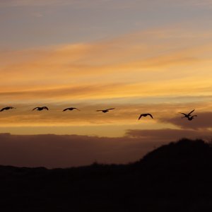 North Yorkshire