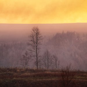 North Yorkshire