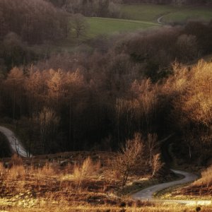 North Yorkshire