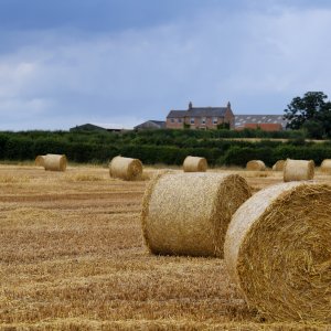 North Yorkshire