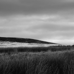 North Yorkshire