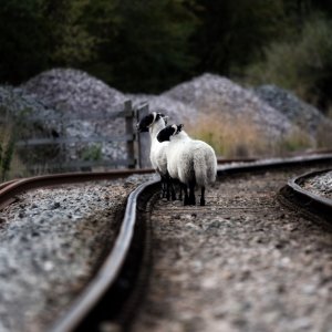 North Yorkshire