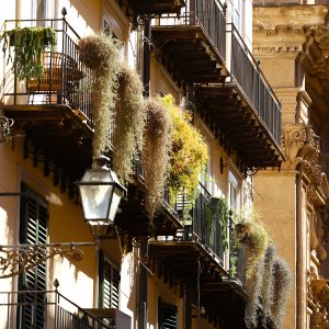 Sicily, Mediterranea Island