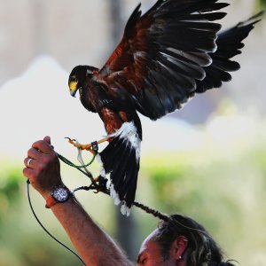 Sicily, Mediterranea Island