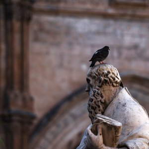 Sicily, Mediterranea Island