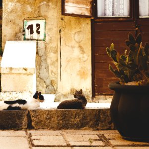 Sicily, Mediterranea Island