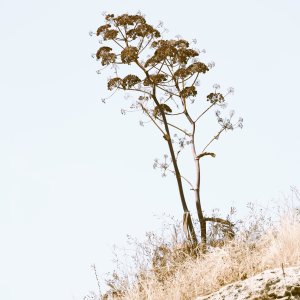 Sicily, Mediterranea Island
