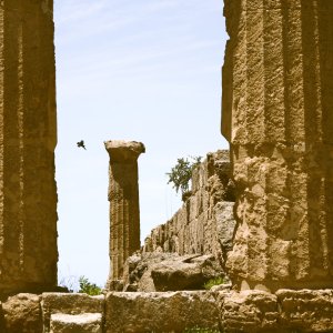 Sicily, Mediterranea Island