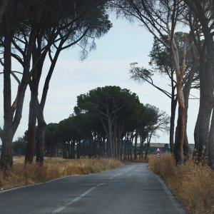 Sicily, Mediterranea Island
