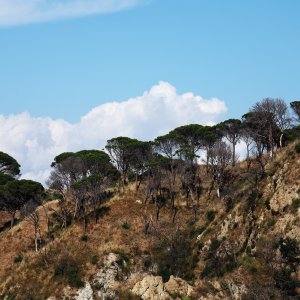 Sicily, Mediterranea Island