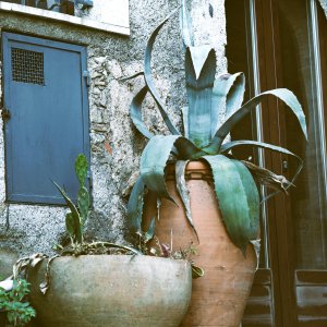 Sicily, Mediterranea Island