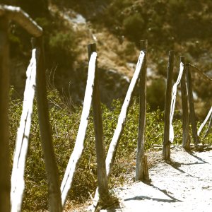 Sicily, Mediterranea Island