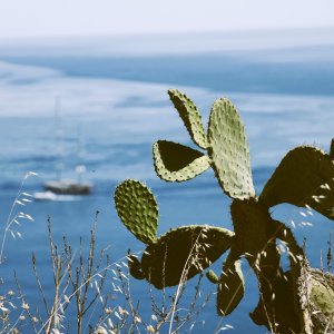 Sicily, Mediterranea Island